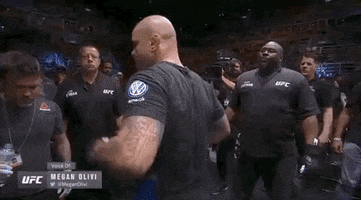 ufc sports sport ufc mma GIF