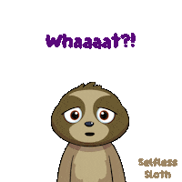Sloth What Sticker by VeeFriends
