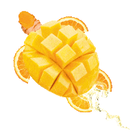 Juice Turtle Sticker by Bagels & Beans