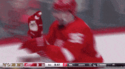 Happy Celebration GIF by NHL