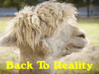 Youre Back Rise And Shine GIF by Sealed With A GIF