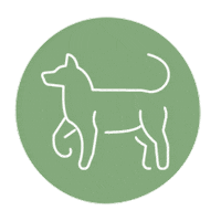 Recovery Happydog Sticker by NOVAFON