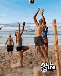 All In GIF by MAD_MONKEYHOSTELS