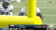 Philadelphia Eagles Football GIF by NFL