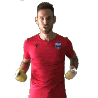 Serie A Football Sticker by SPAL
