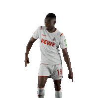 Fc Cologne Bundesliga Sticker by 1. FC Köln