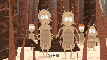bugs lice GIF by South Park 
