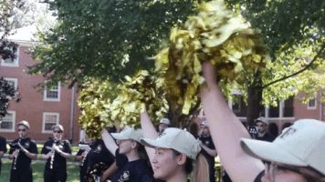 wake forest win GIF