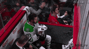 ice hockey hair flip GIF by NHL