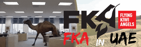 FlyingKiwiAngels giphyupload another fka friday fka news GIF
