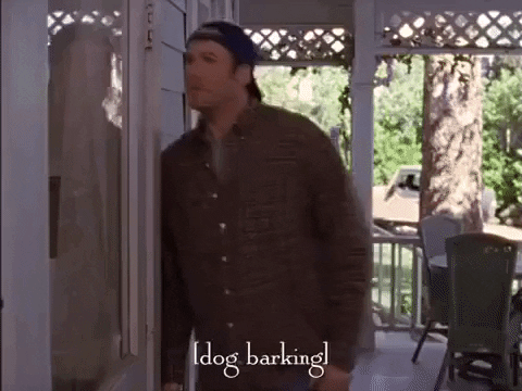 season 3 netflix GIF by Gilmore Girls 