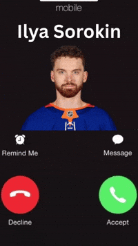 New York Islanders GIF