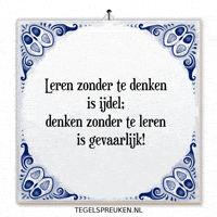 Wijsheid Reflectie GIF by Tegelspreuken.nl