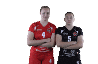 Sport Volleyball Sticker by LP Viesti