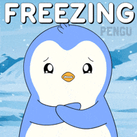 Snow Freezing GIF by Pudgy Penguins