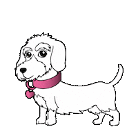 Dackelliebe Sticker by Freda & Friends