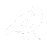 Design Bird Sticker