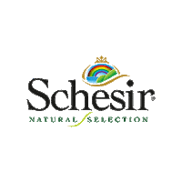 Schesir cat dog pet blueberry Sticker