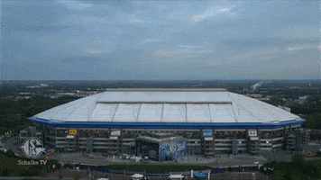 Football Soccer GIF by FC Schalke 04
