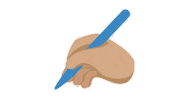 emojivid emoji people emojivid mediumskintone Sticker