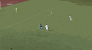 giovani dos santos goal GIF by LA Galaxy