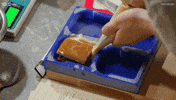 Australia Baking GIF by MasterChefAU