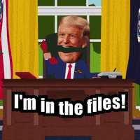 Donald Trump GIF by Respective