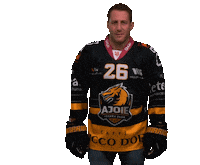 Hockey Switzerland Sticker by HC Ajoie