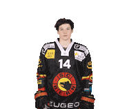 Scb Sticker by SC Bern