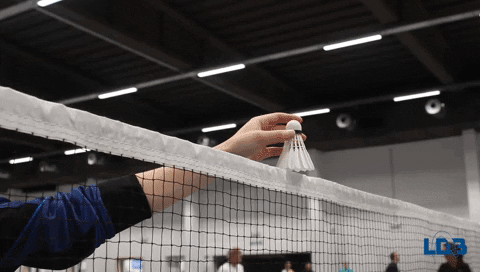 londerzeelbadminton giphyupload toss badminton lob GIF
