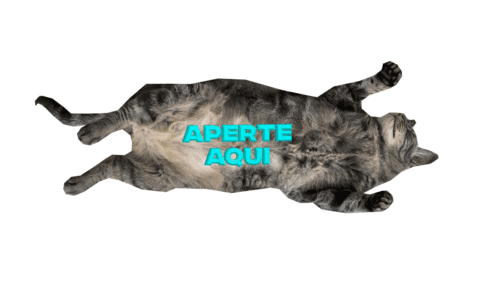 cat Sticker