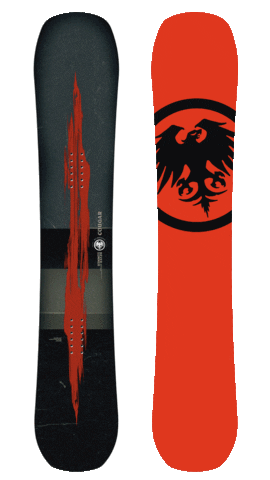 Snowboard Sticker by Never Summer Industries