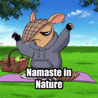 Fitness Yoga GIF by Chillo Dillo