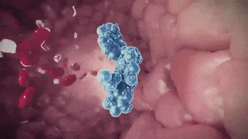 bhfsocialmedia bhf british heart foundation GIF