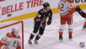 Happy National Hockey League GIF by NHL