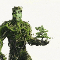 Dsm GIF