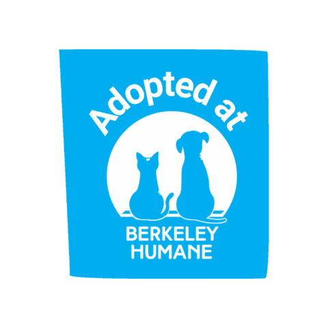 Adoptdontshop Sticker by Berkeley Humane