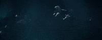 lindsey stirling GIF by Amy Lee