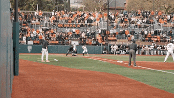 Walkoff GIF by Oregon State Baseball