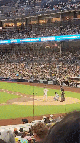 qwerpoiu22ppop giphyupload GIF