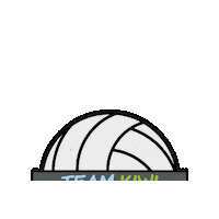 Kiwi Vb Sticker by TEAM Kiwi Volleyball