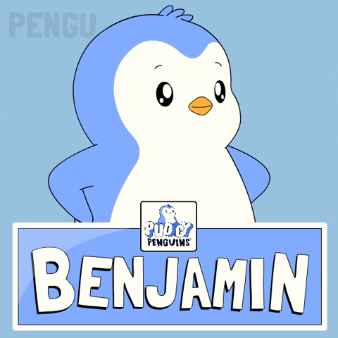 Penguin Ben GIF by Pudgy Penguins