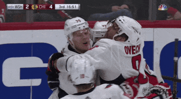 nhl sports hockey nhl ice hockey GIF
