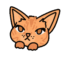 Cute Cat Sticker
