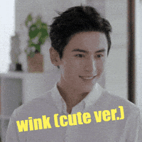 Wink Zzh GIF