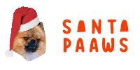 Burlybearpom christmas xmas christmas present Christmas hat Sticker