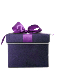 Burlybearpom christmas xmas gift present Sticker