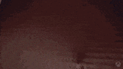 Run Away Break The Rules GIF by Xbox