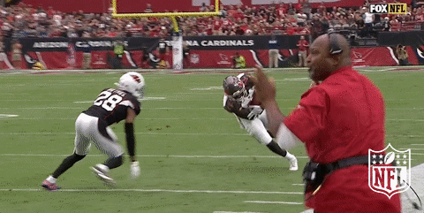 football GIF by NFL