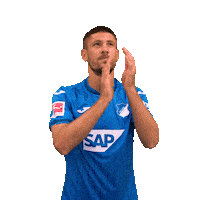 Andrej Kramaric Sport Sticker by TSG Hoffenheim